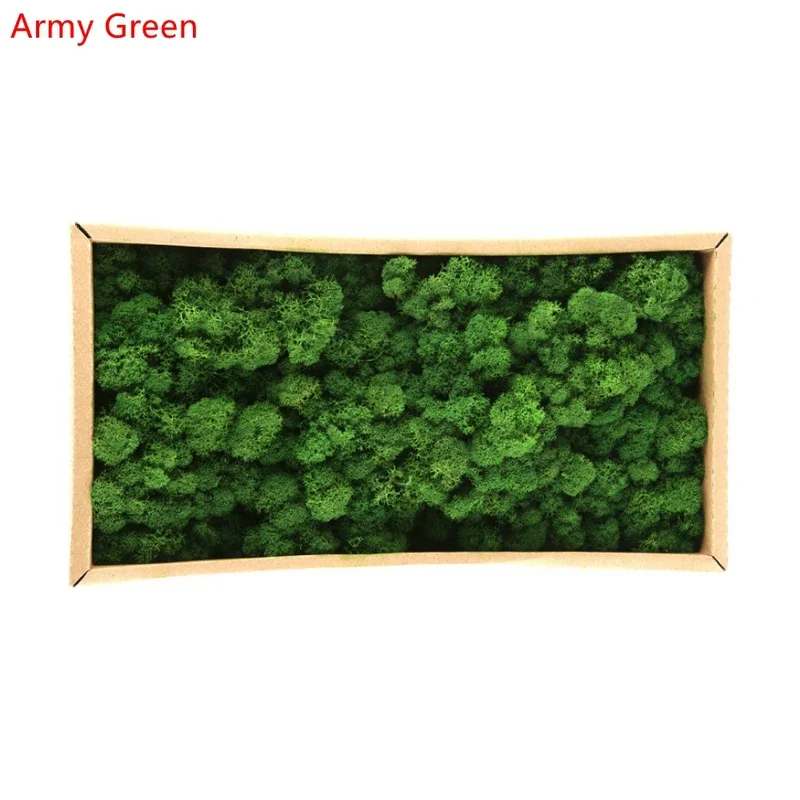 500G Simulation Plants Eternal Life Moss Garden Home Decor Wall DIY Flower Material Mini Garden Micro Landscape Fake Moss