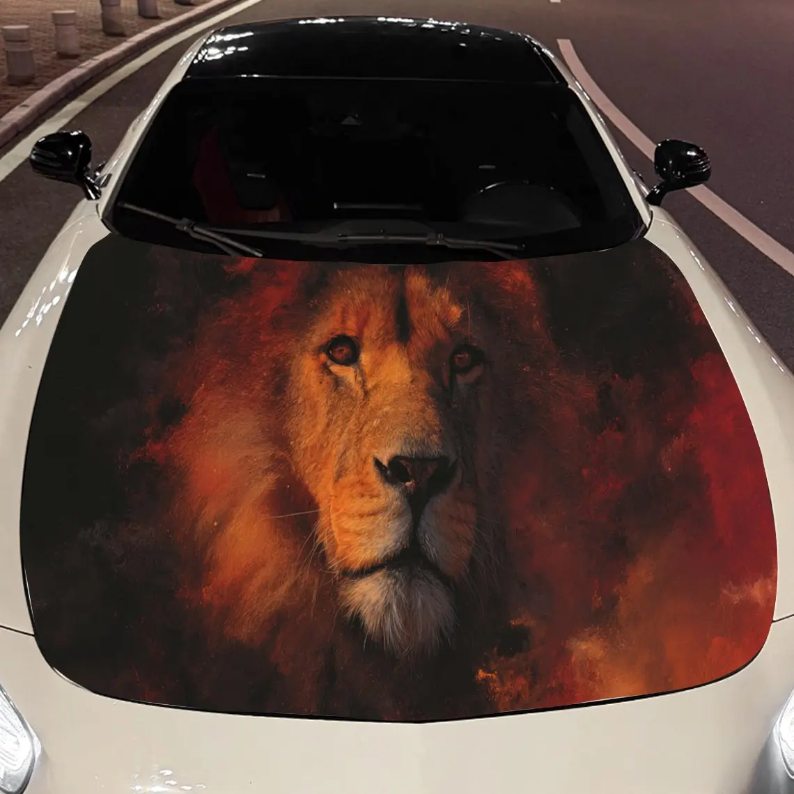 A Dark And Fierce L…