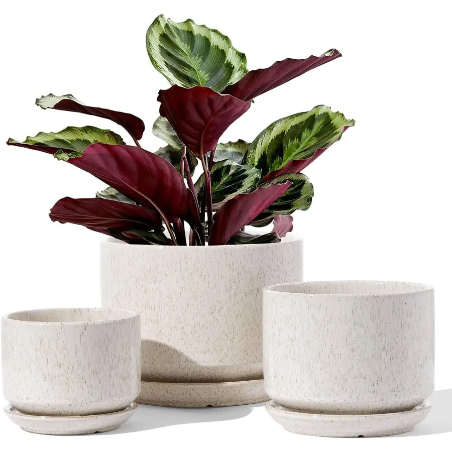 

Ceramic Plant Pots 4.3+5.3+6.8 inch Set of 3 Planters with Drainage Hole and Saucer Indoor Flower Pot with Hole Mesh Pad Gifts