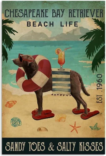 Металлический жестяной знак Chesapeake Bay Retriever пляж Lifes знак металлический знак Алюминиевый Забавный