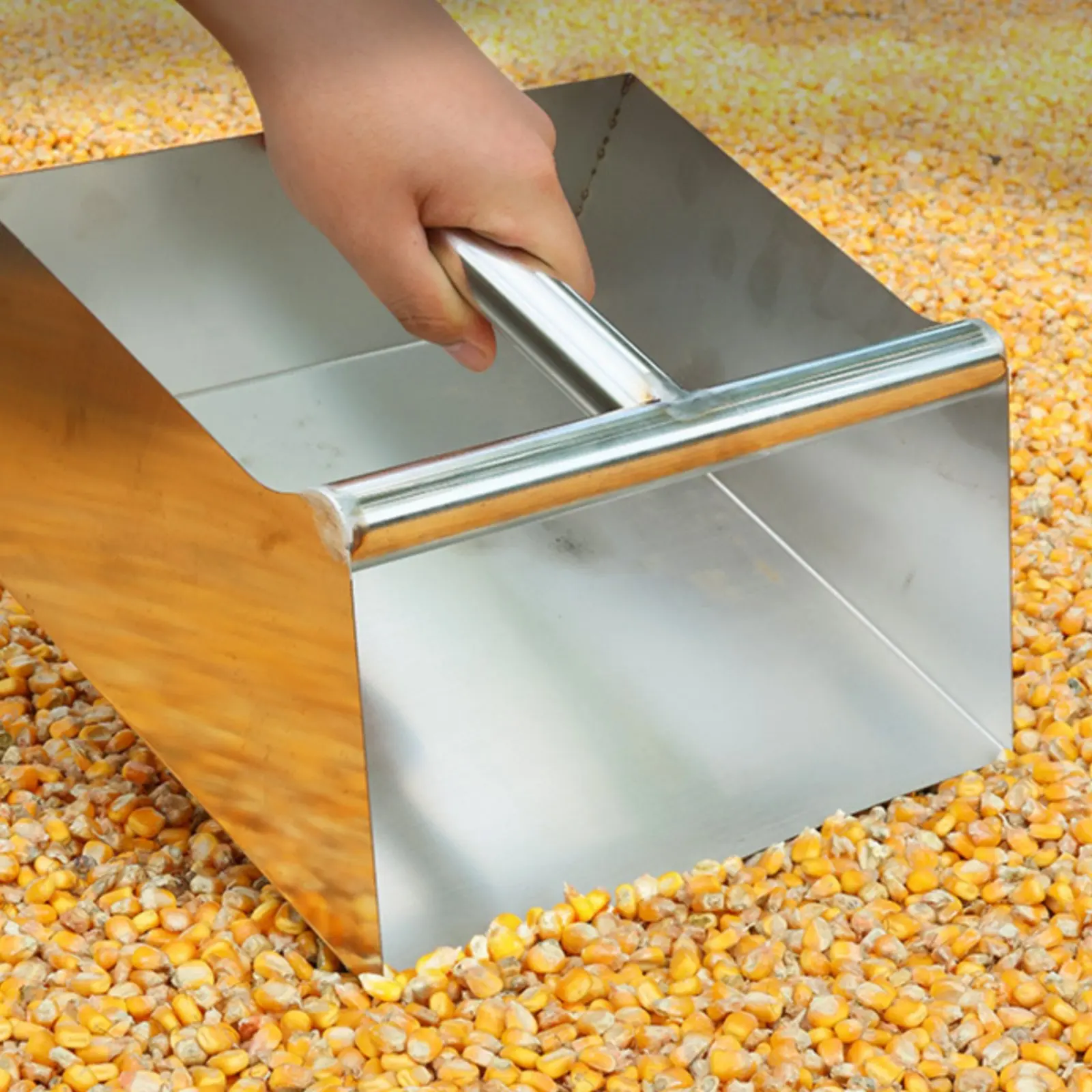 

Stainless Steel Dustpan Thickened Material Sturdy Duty Metal Shovel Professional Garbage Shovel Wear Resistant Cleaning Supplies