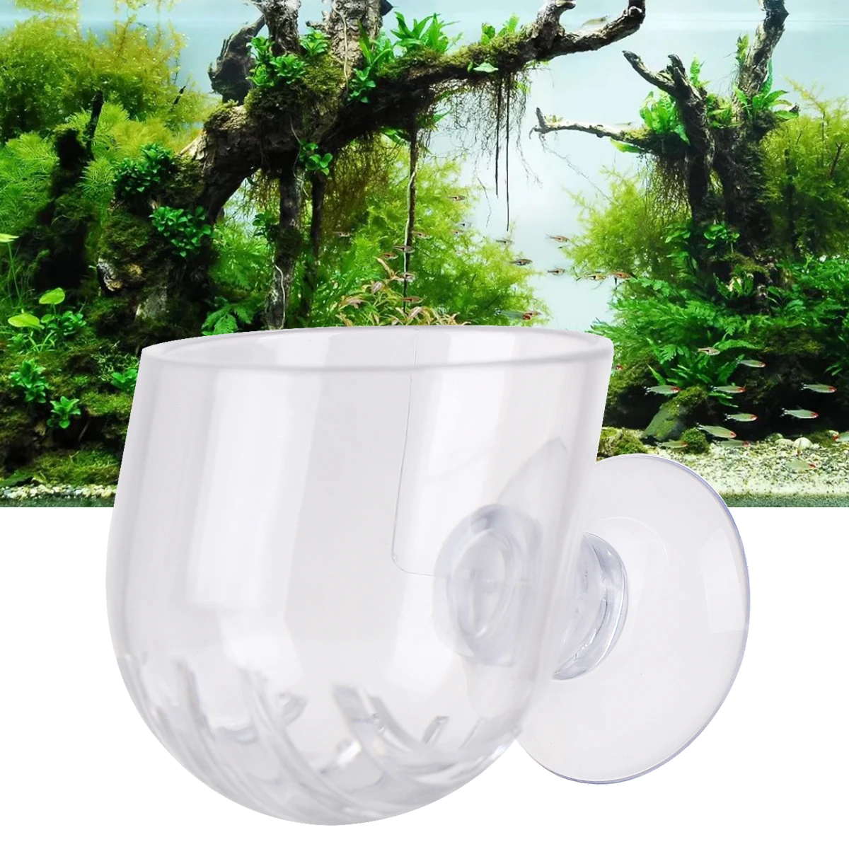 

Automatic Feeder Cup Acrylic Safe Durable Drinking Eating Suction Aquarium Shrimp Cylinder Practical Pet Supplies