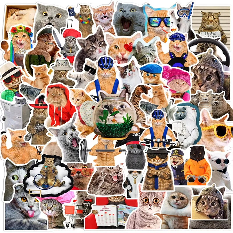 10/50/100PCS Nette Lustige Katze Haustiere MEME Cartoon Aufkleber Aufkleber Laptop Telefon Gepäck Fahrrad Motorrad Auto graffiti Aufkleber Kinder Spielzeug