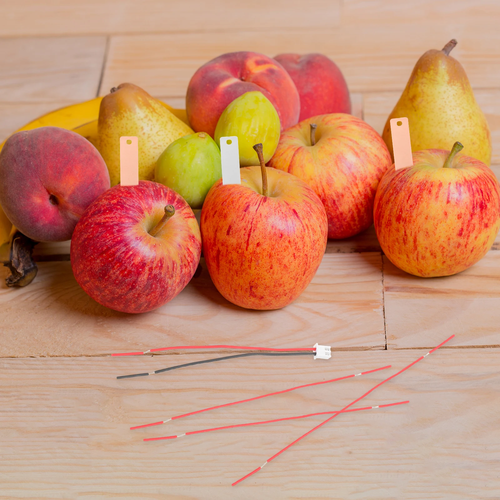 

Fruit Diy Experiment Fruit Toys DIY Kit Zinc Copper Plates Electronic Clock Student Educational Supplies