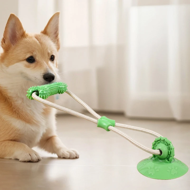 Jouet à mâcher durable pour chiot avec ventouse, élastique, résistant aux morsures, interactif, en TPR résistant à l'usure, pour la mastication des molaires des animaux de compagnie, fournitures pour animaux.