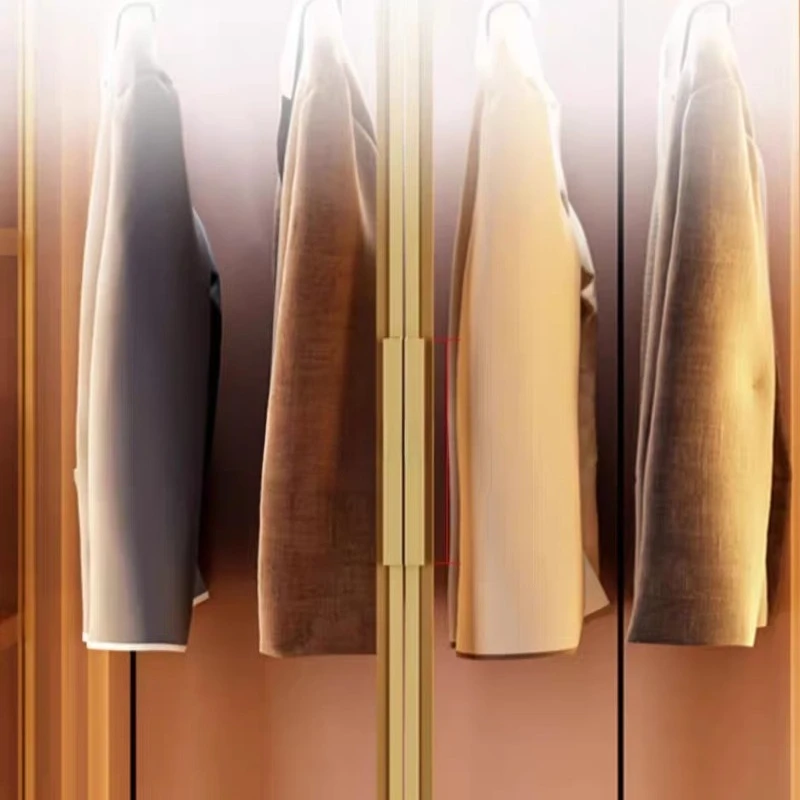 خزانة للملابس، خزانة ملابس، أبواب زجاجية، منظم معدني، خزانة ملابس مريحة، خزانة تخزين، أثاث منزلي