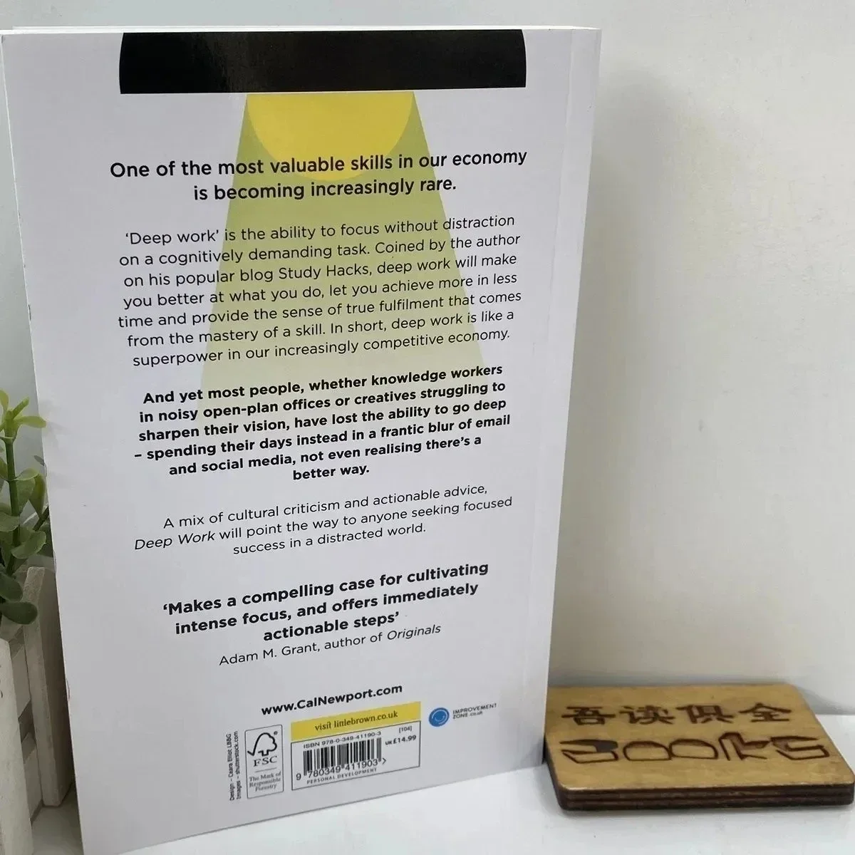 Deep Work : Rules for Focused Success In a Distracted World by Cal Newport Self Help Book English Book