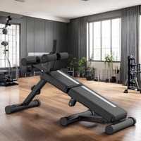 2025 Adjustable Gym Bench For Indoor Full Body Training Foldable Fitness Dumbbell Stool Sit-Up Equipment