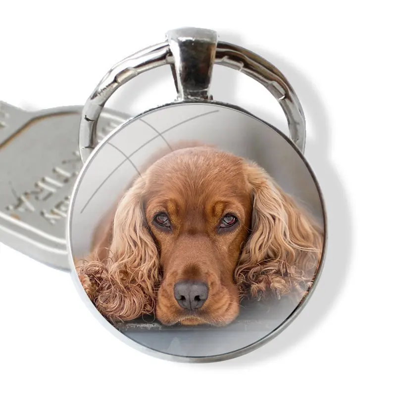 glass cabochon keychain Car key chain Charms keychains Gifts TPU Transparent Cover harper cocker spaniel hellip dog puppies Cute