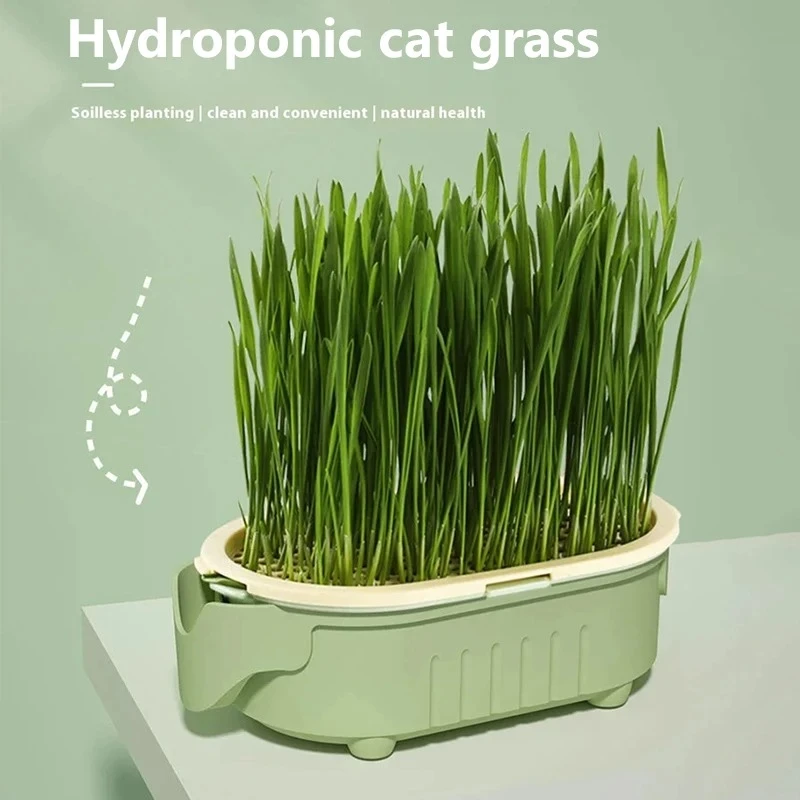 

Organic Cat Grass Planter Kit Hairball Relief Natural Digestive Aid Grow Your Own Cat Grass Bowl Set Not Include Seed