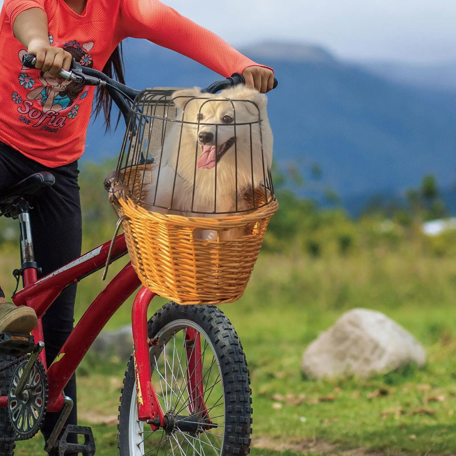 

Велосипедная корзина для собак, съемная с сетчатым верхом, устойчивая к атмосферным воздействиям, простая установка, сиденье для домашних животных для котят, щенков, маленьких собак, катания на кошаках
