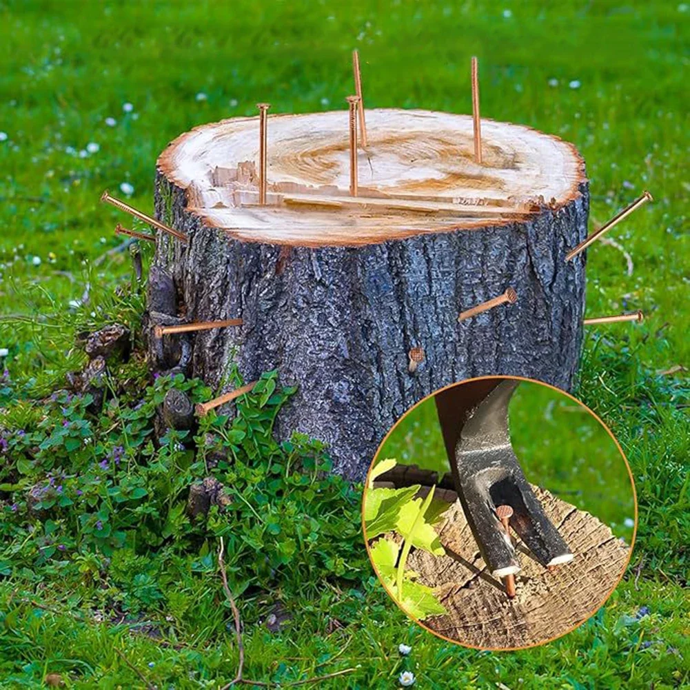 Tree Killing Copper Nails 4 Inch Size for Efficient Stump Removal Suitable for Root Penetration and Various Hardware Tasks