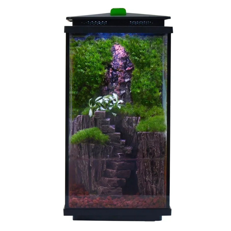 

Micro-landscape creative ecological tank, desktop moss landscaping glass rainforest ecological aquatic plant tank