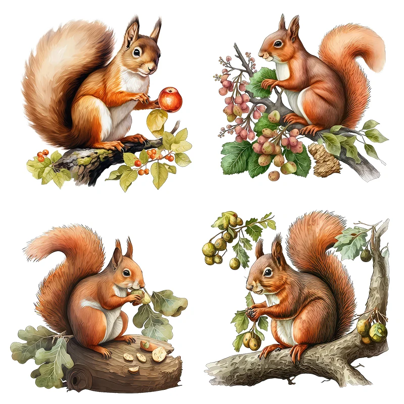Three Ratels CP35 Cute Squirrel Animal Wall Sticker for Children's Bedroom Decoration Waterproof Bathroom Decal