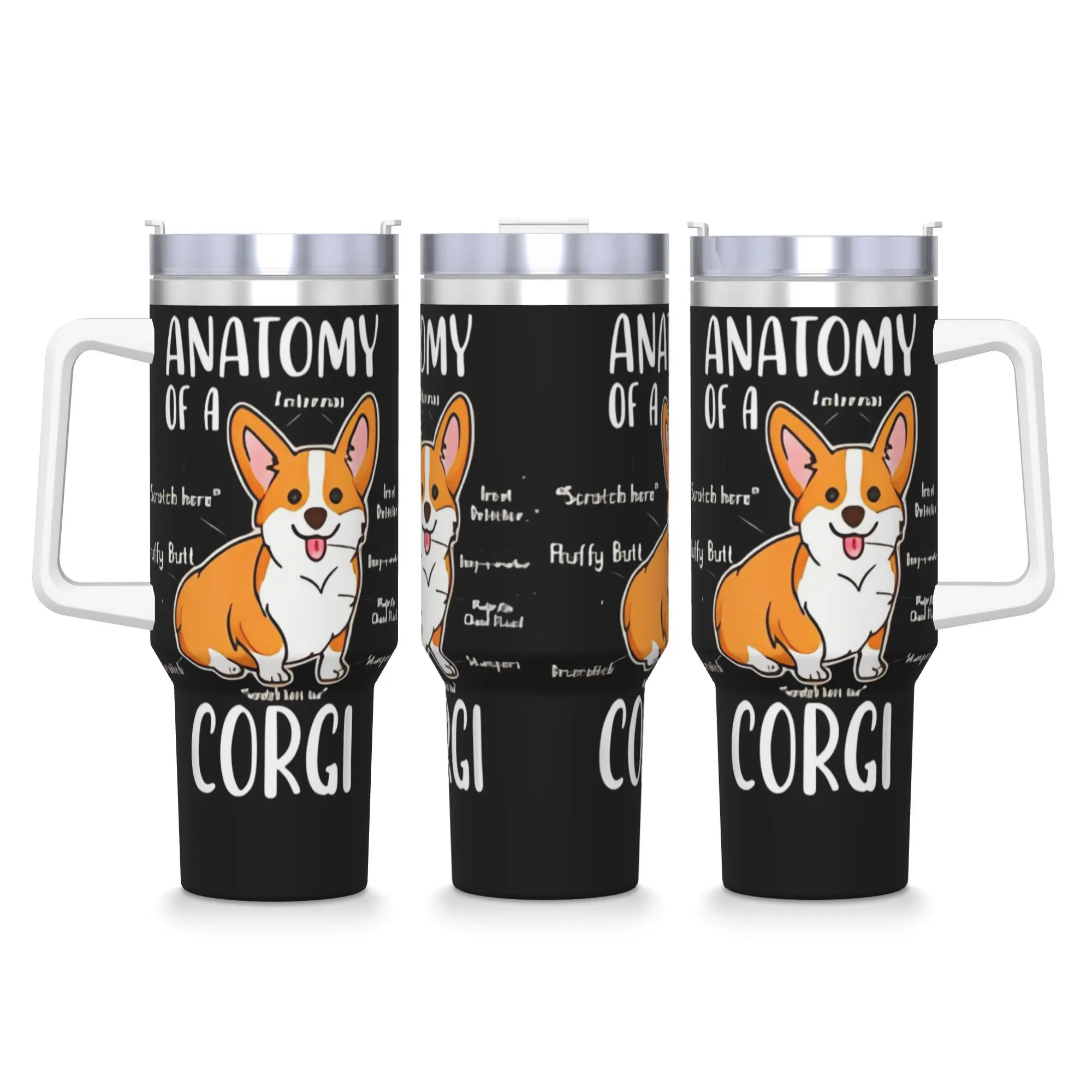 Stainless Steel Tumbler Newest Printed Tops Anatomy Of A Corgi Funny Dog Graphic Car Mugs With Straws Cold Water Thermal Mug