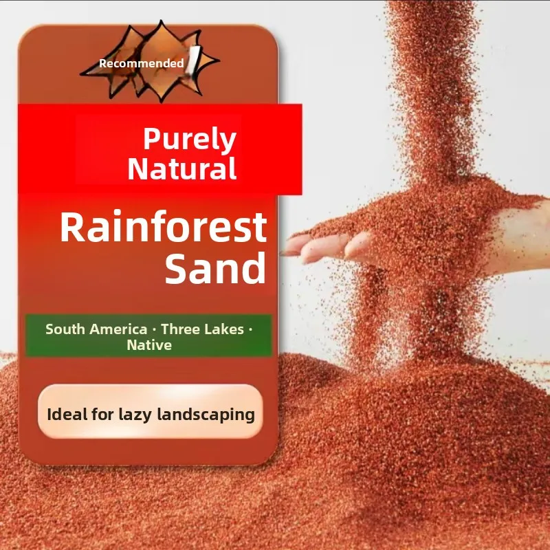 Tropical Rainforest…