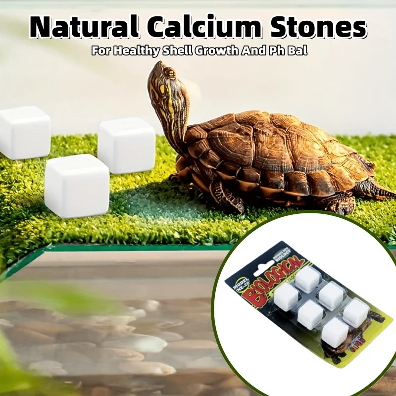 

6 Natural Calcium Stones Mineral Blocks Aquarium Glass Dome Decoration For Shrimp Hermit Crabs Turtles Snails Frog Decor Crafts