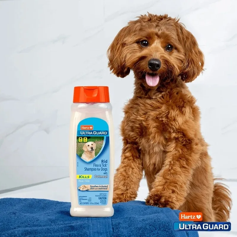dry dog shampoo