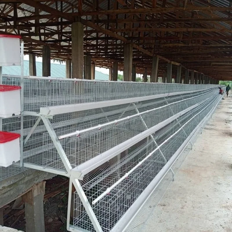 Offre spéciale un Type de Cage à poulet à batterie bon marché fil galvanisé 3/4 niveaux couches Cages à poulet vente dans la ferme avicole du Zimbabwe