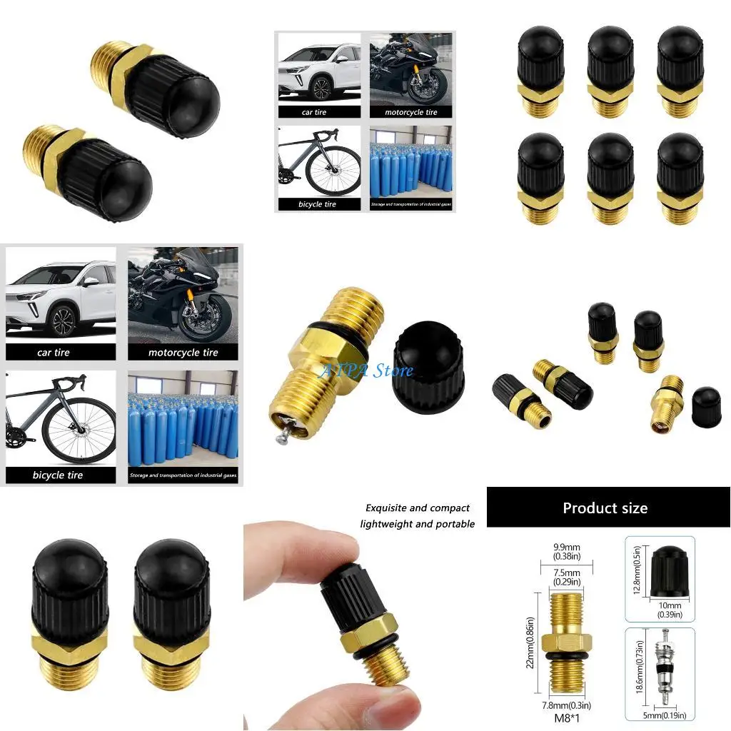 

U13C Corrosion Resistant M8x1 Brass Air Valves set for Long Lasting Performances
