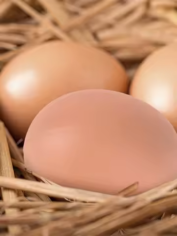 6/12PCS Hatching Egg Easter Hen Poultry Hatch Breeding Simulation Fake Plastic Artificial Eggs DIY Painting Egg Educational Toys