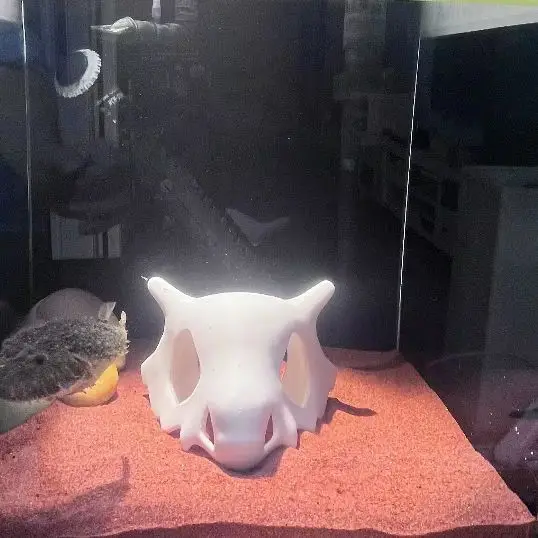 الأسماك الروبيان الزواحف مخبأ كهف مخبأ، أنيمي العظام الجمجمة حوض السمك زخرفة خزان الأسماك الديكور المواد الآمنة، ثلاثية الأبعاد المطبوعة