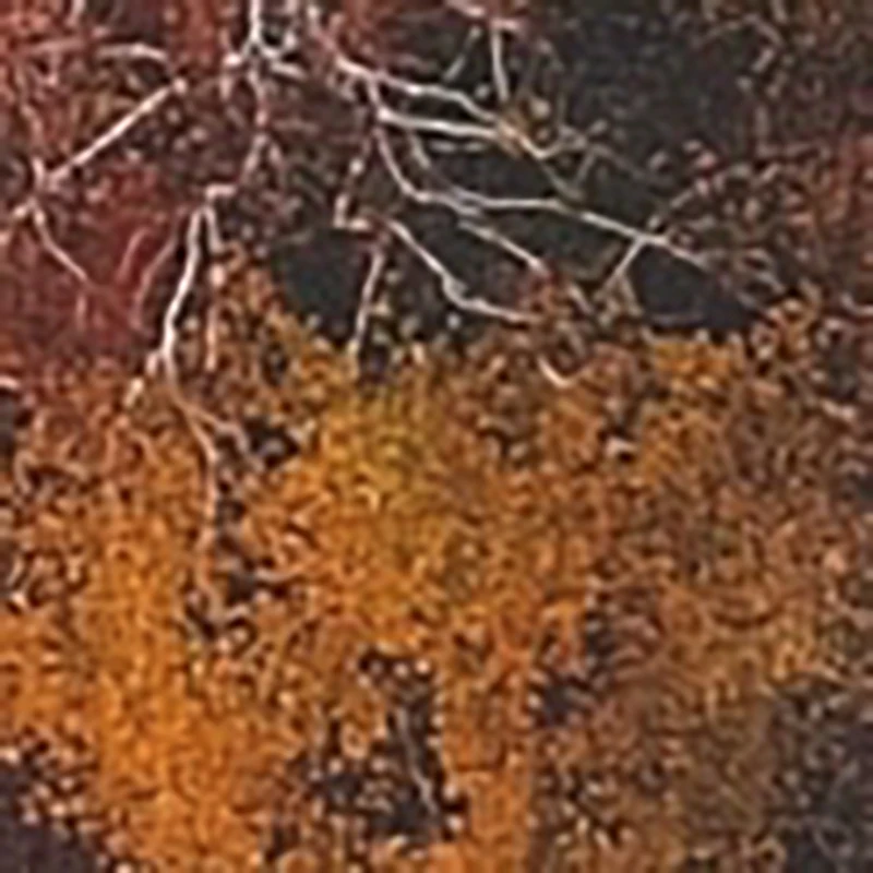 

2PCS/Set Women Sexy Leopard Print V-neck Bra Briefs Set Seamless Underwear Elastic Waist Belt Panty Lady Soft Intimates Lingerie