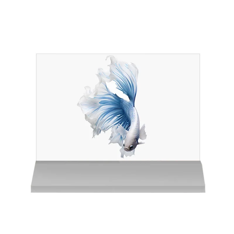 Desktop Smart Touch Screen Transparent Oled TV Screen High Definition Oled Transparent Display