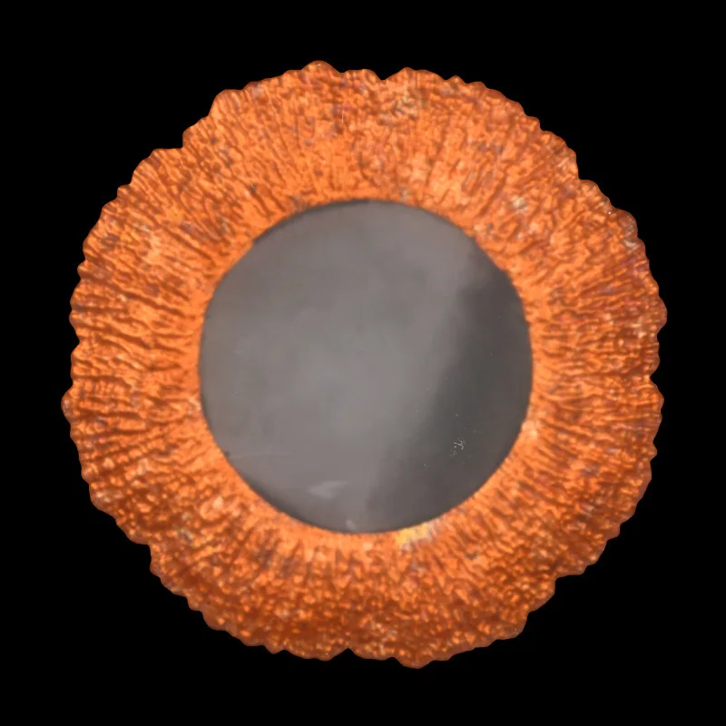 

HXL Sunflower Glass Plate Sushi Dessert Salad Plate Decoration