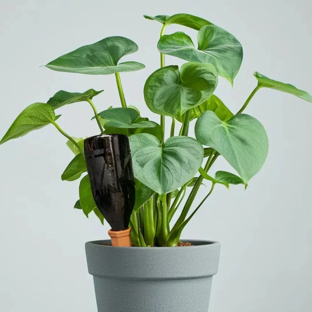 Terracotta Automatic Watering Device Plant Watering System Flower Pot Insertable Watering Stake Suitable For Potted Plants view 6