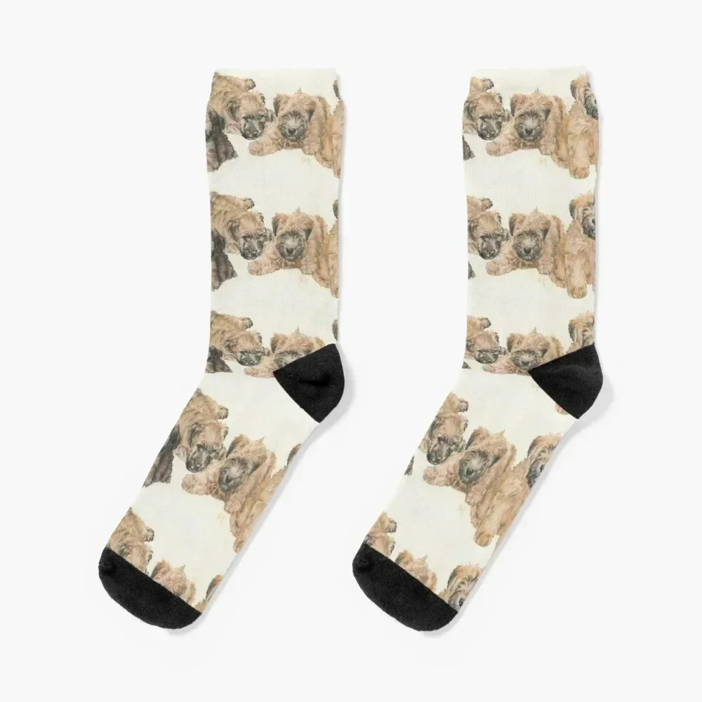 

Soft-coated Wheaten Terrier Puppies Socks designer brand New year's christmas stocking Men Socks Luxury Brand Women's