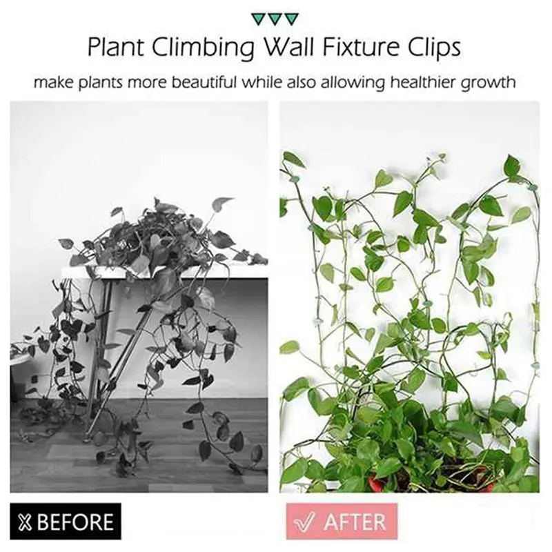 AB11-480Pc Plant Climbing Wall Fixture Clips Plant Fixer Vines Garden Green Leaf Plant Wall Clips Vines Holder For Wall Decor