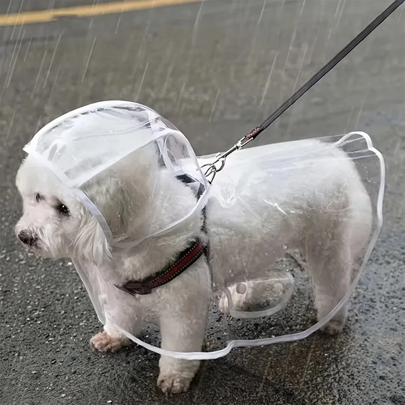 Impermeable transparente para perros, ideal para días de lluvia y paseos, disponible para perros pequeños y medianos, así como para razas como el Teddy y el Bichón Frisé.