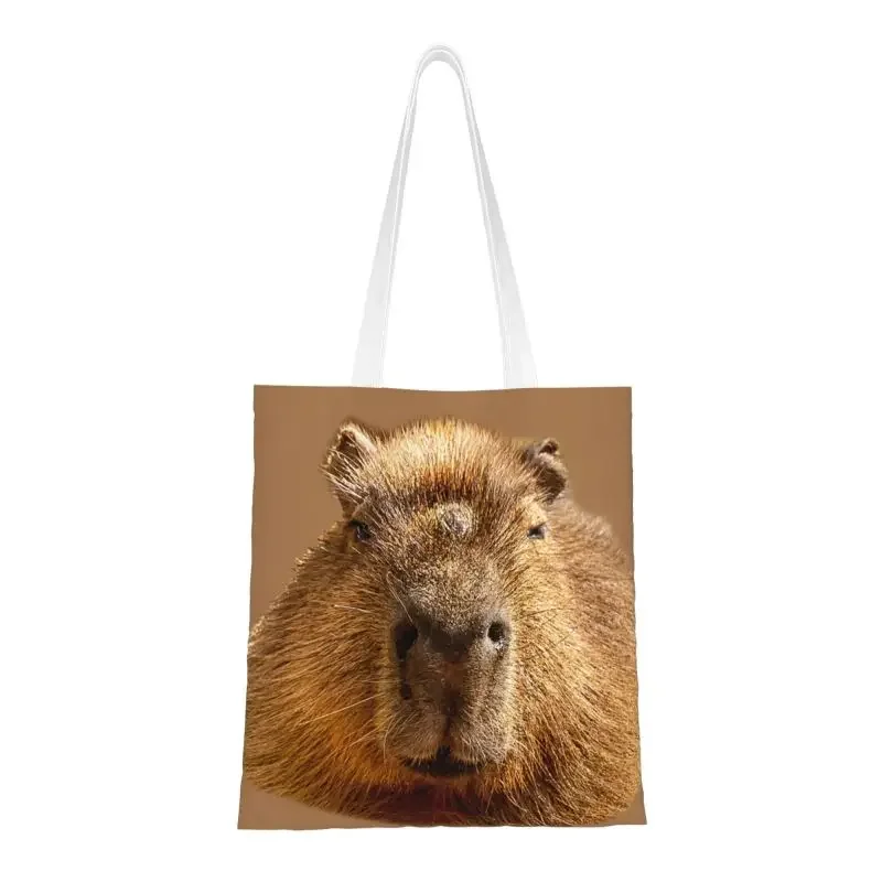 

Capybara Dozing In The Sunshine Printing Grocery Tote Shopping Bag Women Canvas Shopper Shoulder Bags Big Capacity Handbags