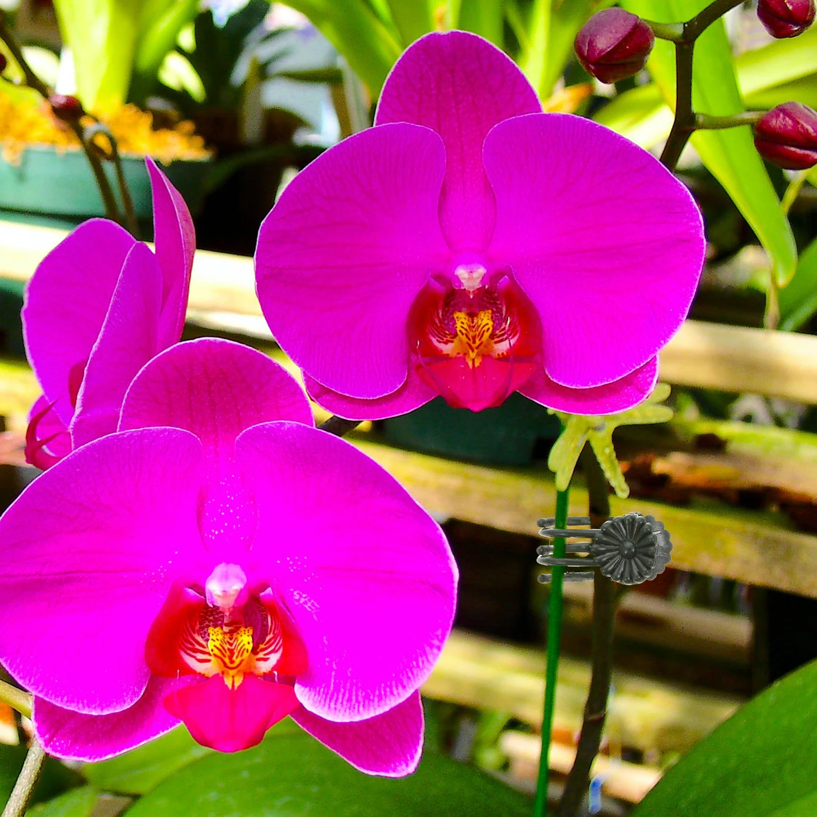 

50pcs Flower Support Clips Plant Stem Clips For Garden Orchid Vine Straightening No Damage To Plants To Stakes Garden