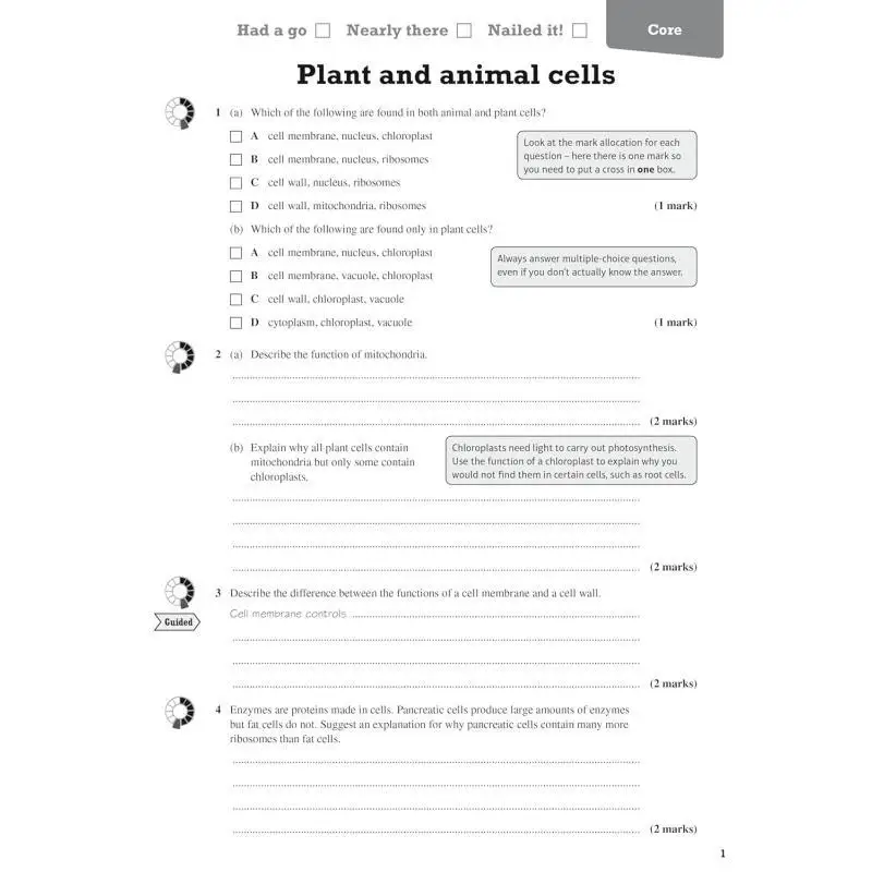 بيرسون مراجعة Edexcel GCSE مصنف مراجعة مؤسسة الأحياء لعام 2025 و2026 التقييمات واللامتحانات 9781292131757