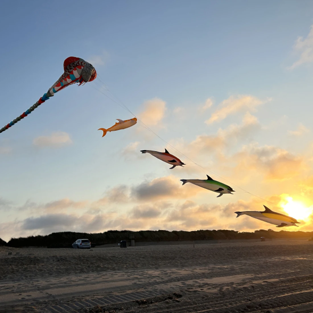 9KM 18m Cobra Kite Line Laundry Kite Pendant Miękki nadmuchiwany latawiec pokazowy na latawiec festiwalowy 30D Ripstop Nylon z torbą