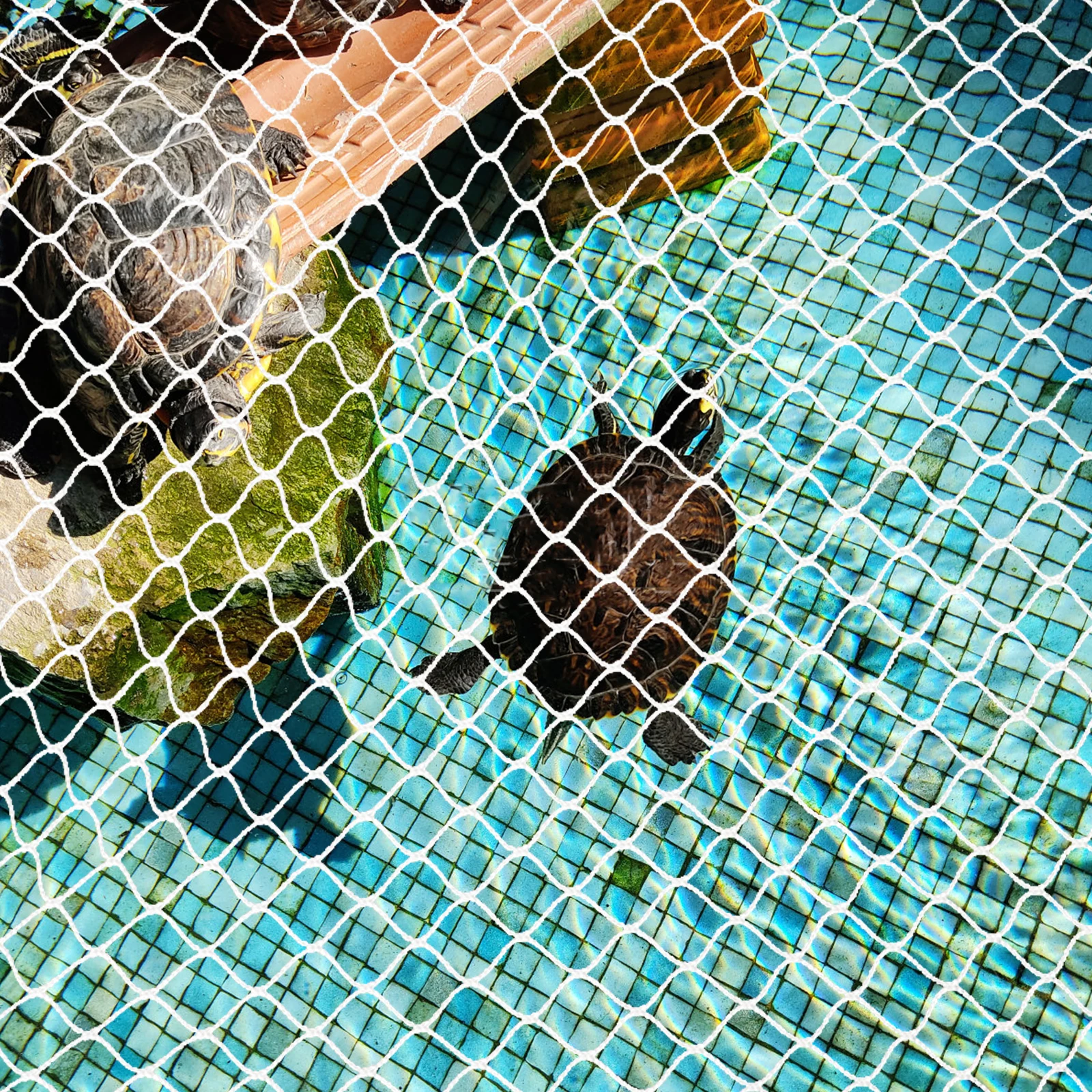 

Fish Tank Anti-Jump Net Nylon Protective Mesh Cover Aquarium Durable Breathable Fish Tank Escape Proof Net Escape-Proof Mesh