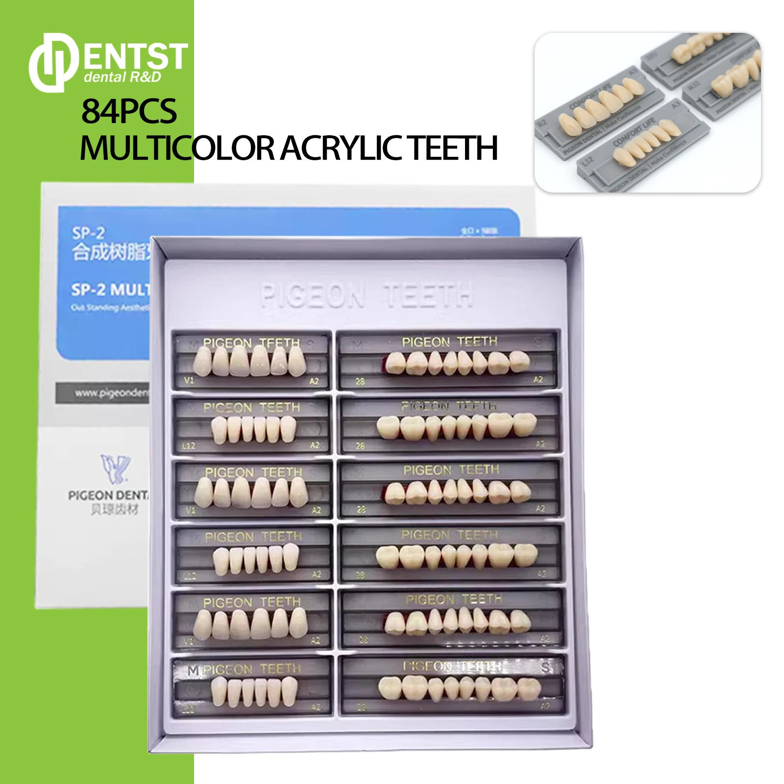 3Sets/Box Dental Synthetic Resin Teeth Full Mouth SP2 SP3 S/M/L Dental Acrylic Resin Dentistry Materials Education Model