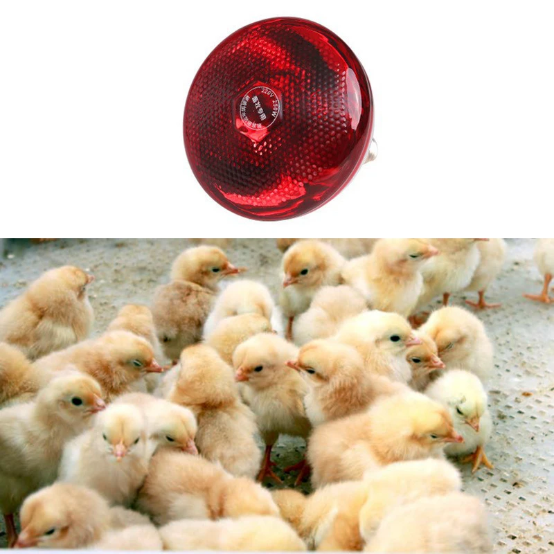 100W/150W/200W Infrared LED Light Thickening E27 Heat Lamp Thermal Preservation Bulb For Pet Brooder Hatch Piggy Dog Cat