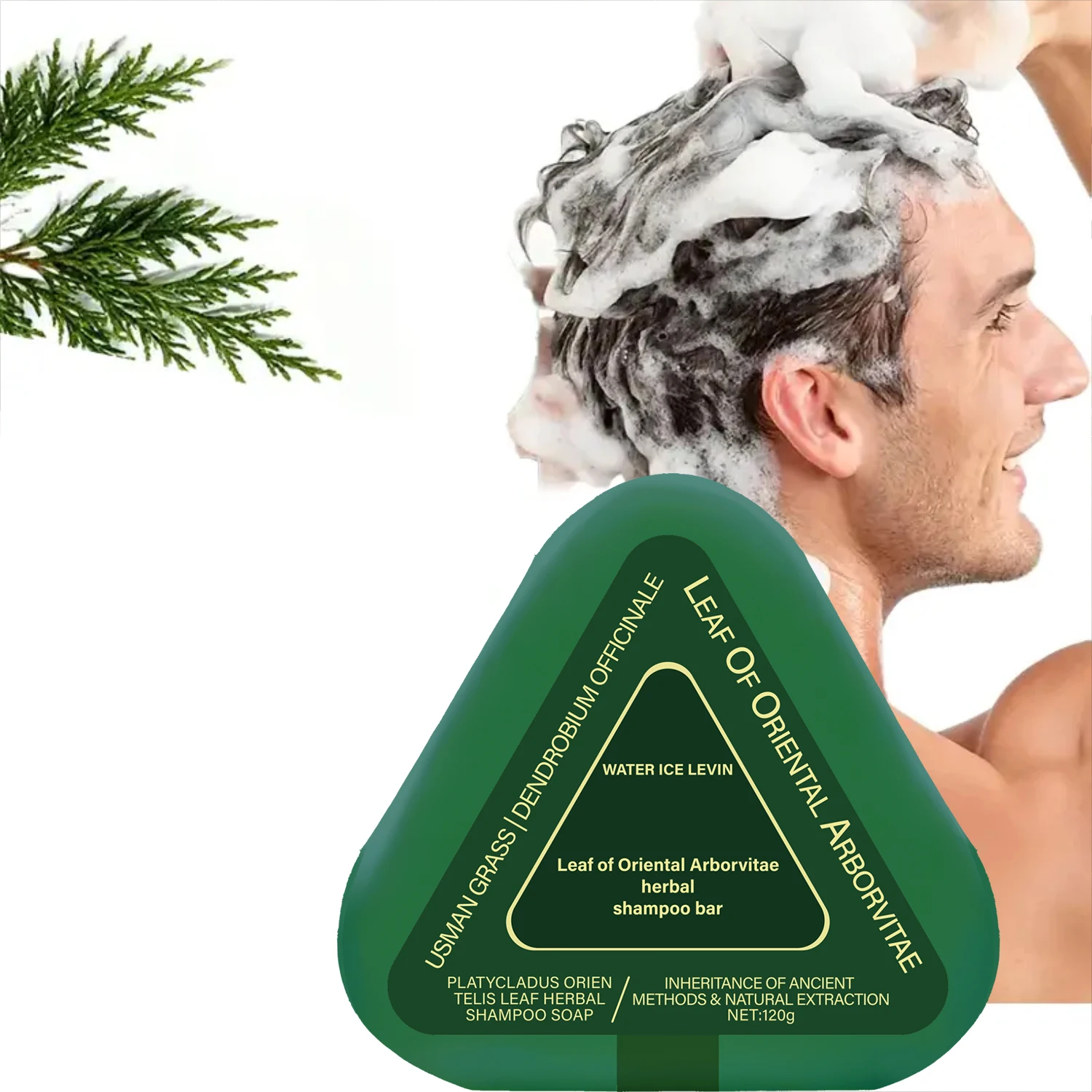 

Oriental Arborvitae Leaf Herbal Shampoo Bar: Ancient Extract, Gently Cares, Hydrates & Strengthens All Hair Types