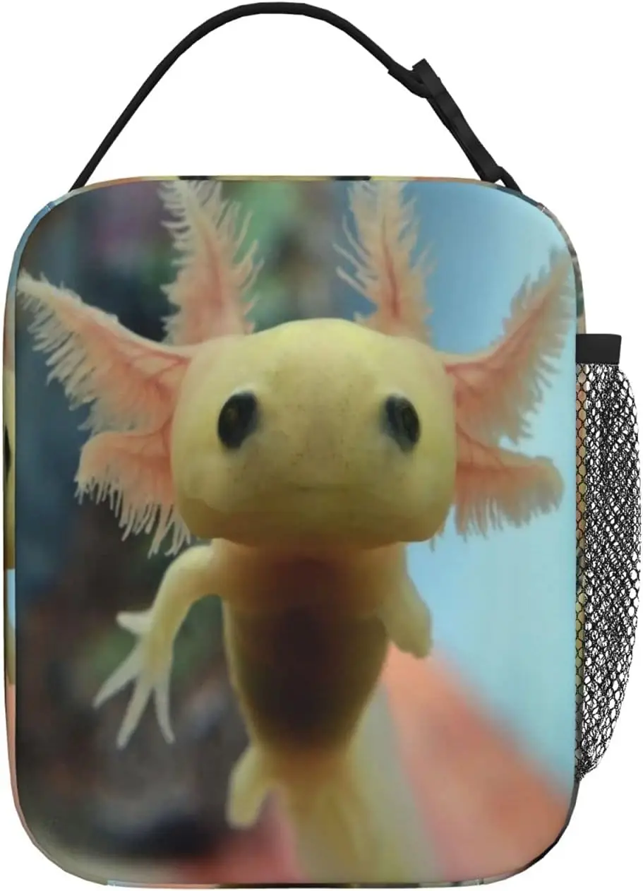 Axolotl-fiambrera con aislamiento para hombre y mujer, bolsa suave y reutilizable para el trabajo, Picnic y senderismo