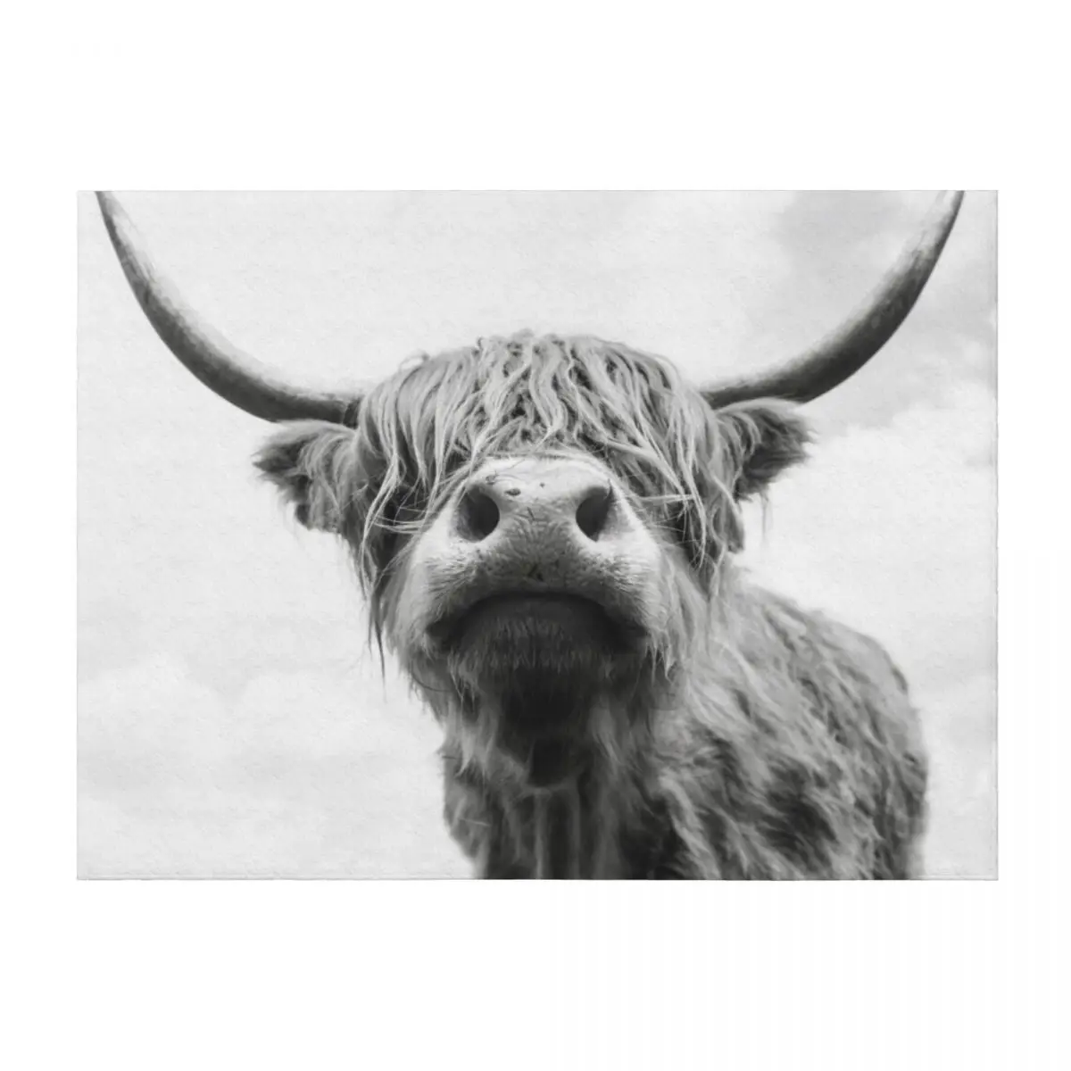

Highland Cow in Black and white Throw Blanket for sofa Soft Big Decorative Sofas Softest Blankets