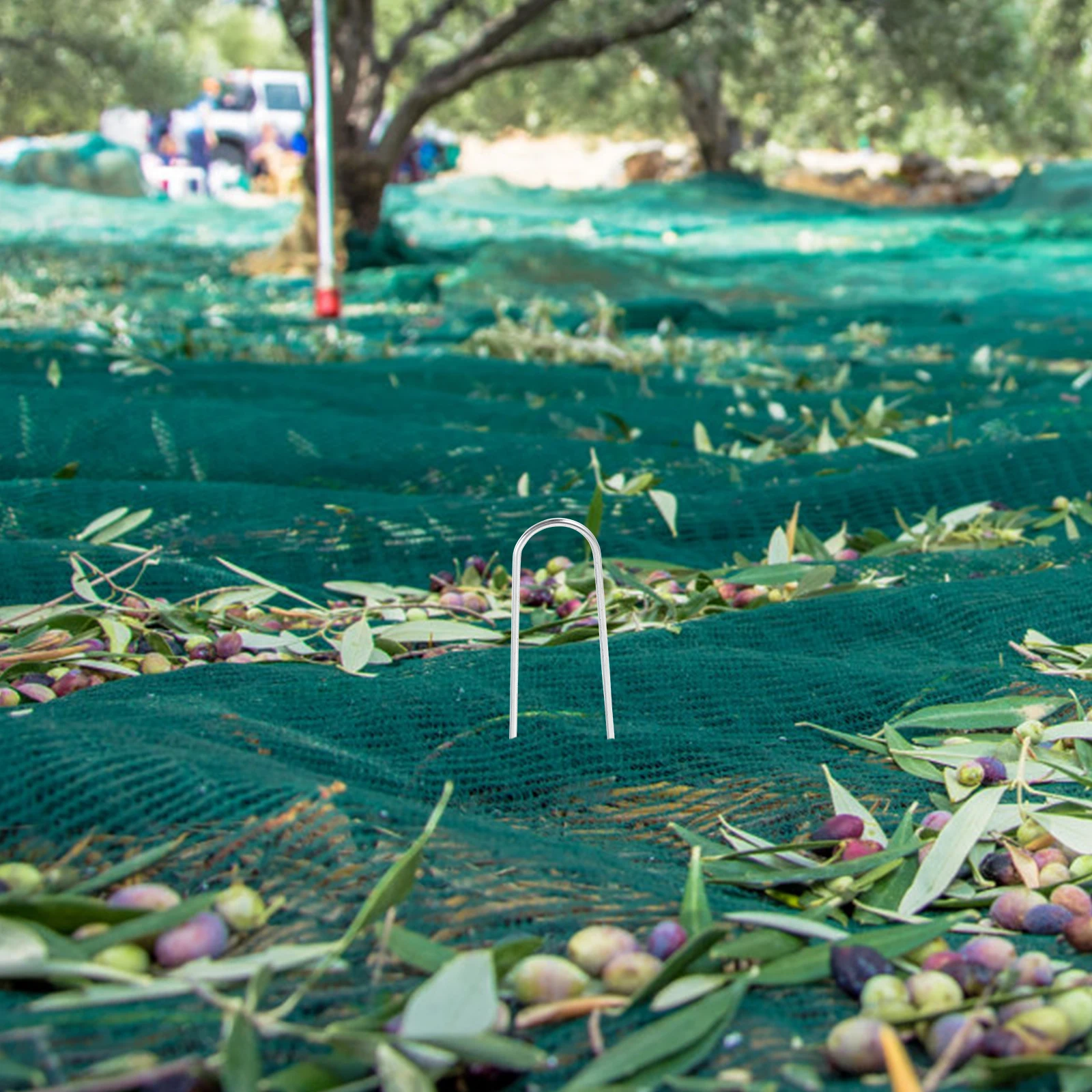 

50Pcs Galvanized Ground Anchor U-Shaped Stakes for Garden Greenhouse Outdoor Fixing Tent Pegs Lawn Mulch Film Nails