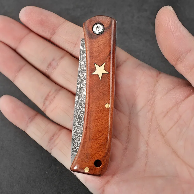 Damascus Steel Kitchen Sharp Fruit Knife Meat Eating Mini Folding Knife Camping Survival Portable Special