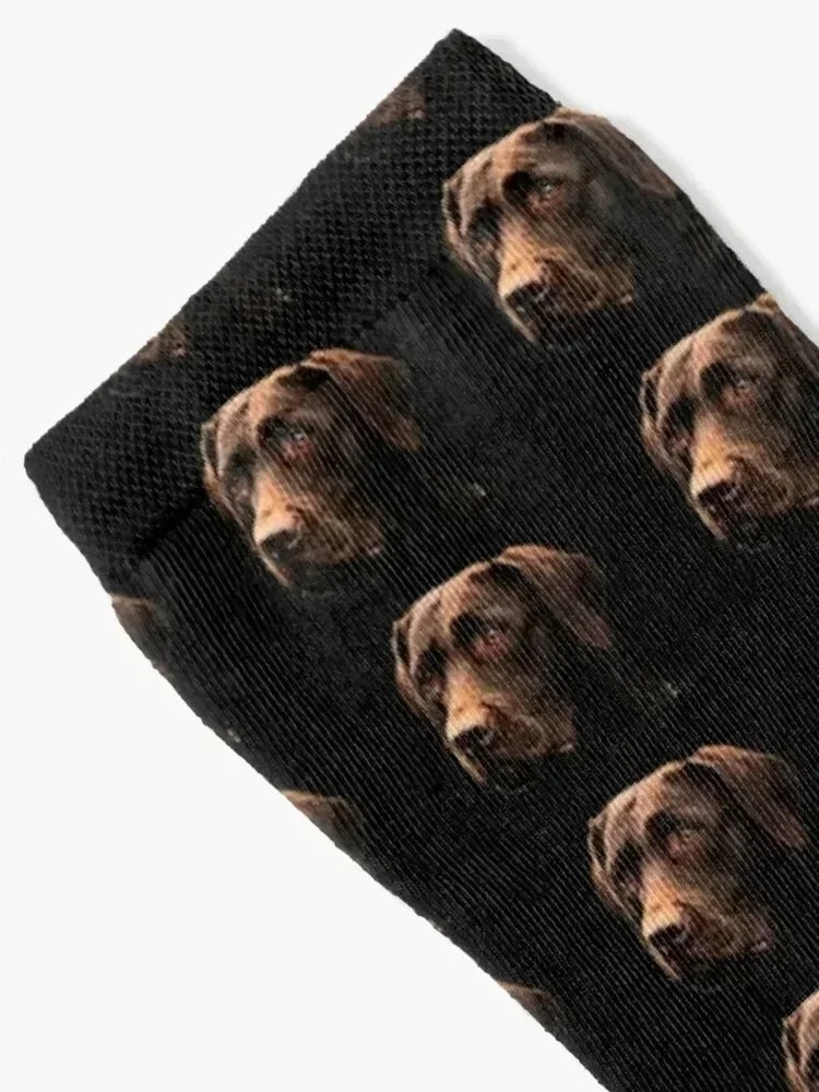Chocolate Lab Socks fashionable aesthetic floral cool Socks Ladies Men's