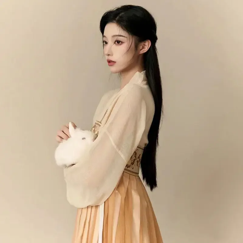 Vestido hanfu tradicional antigo, feminino chinês, elegante, bordado floral, palco, dança folclórica, retrô, conjunto da dinastia weijin