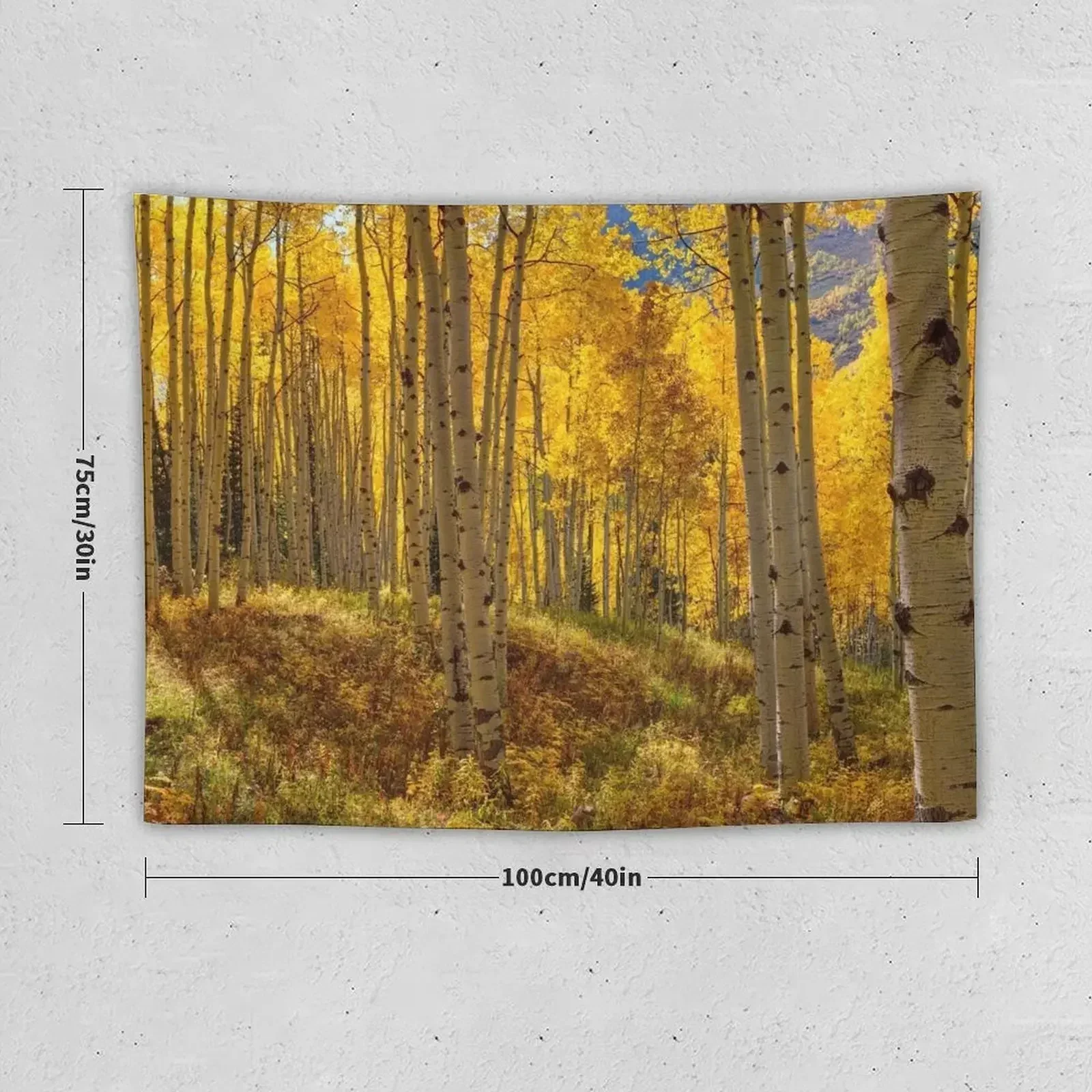 Autumn Aspen Forest Aspen Colorado Panorama Tapestry Decoration Aesthetic Bedroom Deco Room Decorations Aesthetics Tapestry