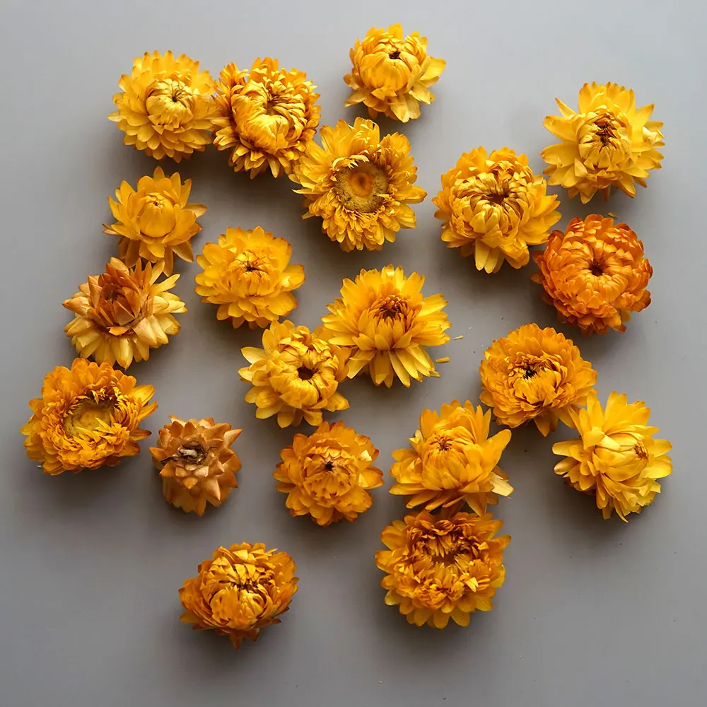 Couronne de chrysanthème colorée séchée naturelle, accessoires pour cheveux faits à la main, matériel de bricolage pour produits en résine, aromathérapie ci-après