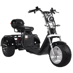 Hot Sale Warehouse EEC COC Adult Three Wheel Citycoco Golf Cart 60V 20Ah 2000W Tricycle 3 electric